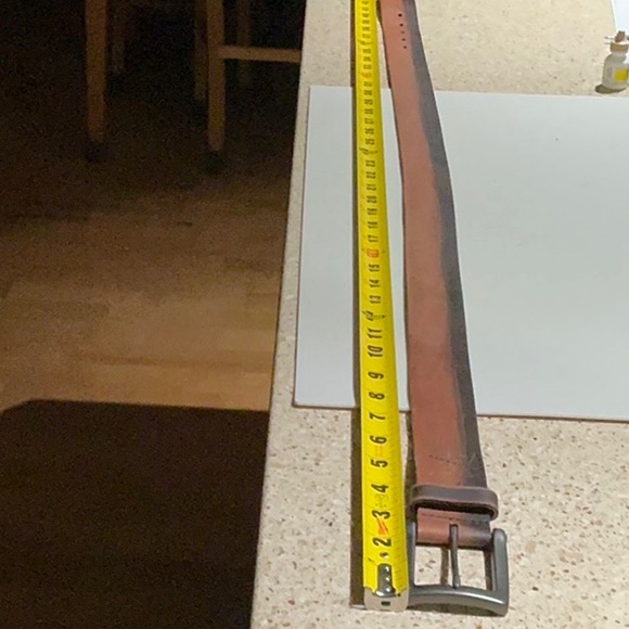 Fossil Belt - Picture 8 of 8